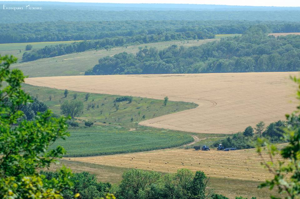 20621115 1342049892508757 5785491713069447410 n