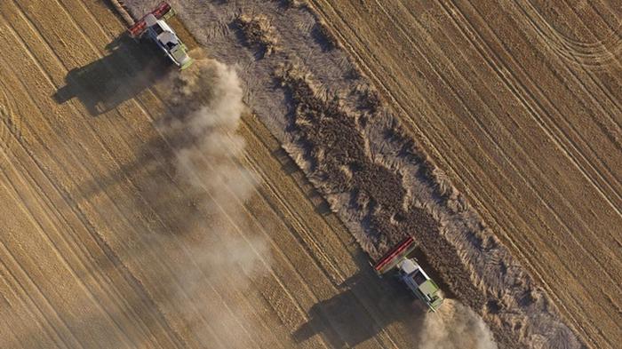 Рада одобрила законопроект о приватизации земель госпредприятий