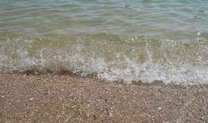 На каких пляжах Азовского моря безопасно купаться
