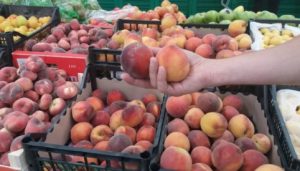 Теперь всегда покупаю персики «мальчики» — они слаще. Как их отличить