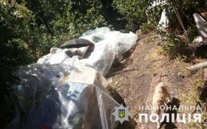Голодна та недоглянута: дівчинка мешкала серед собак на території садового товариства Краматорська