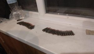 При огляді автомобіля на блокпосту у Слов’янському районі правоохоронці виявили патрони