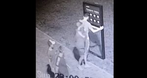 В Славянске подростки развлекались вандализмом в обновленном парке Шелковичный. Видео