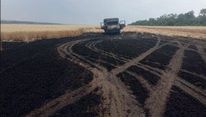 У Лимані горіло поле з пшеницею
