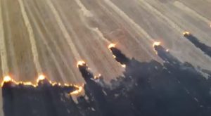Вблизи Славянска фермеры подожгли поле. Видео масштабного пожара опубликовал и.о главы Госэкоинспекции