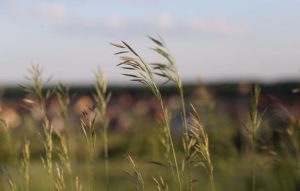 Приметы и праздники 30 июля: что нельзя делать в этот день