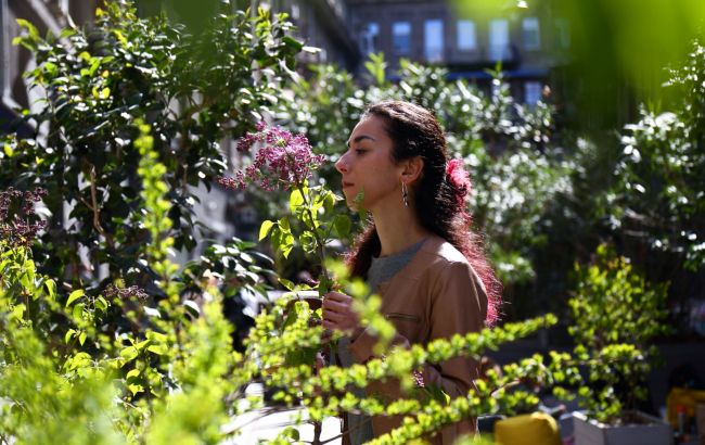 Грозы и похолодание: какой будет погода на этой неделе