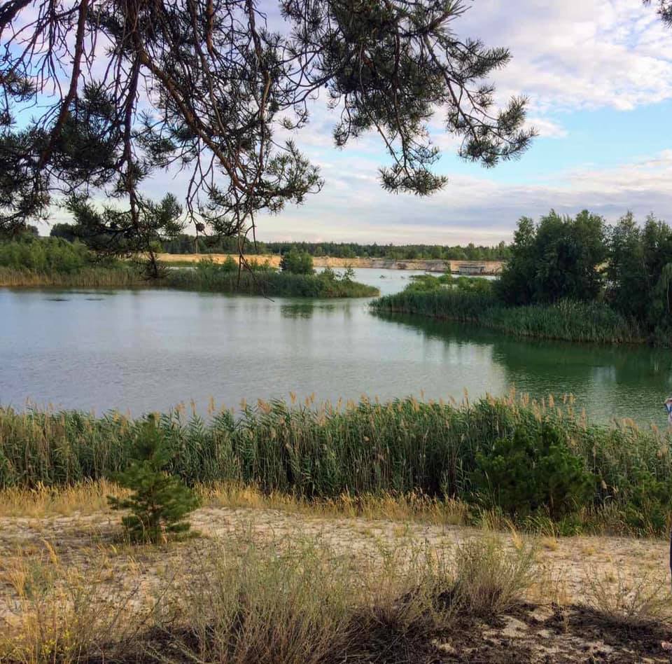 117066895 1823213351149778 4290751064424608126 n