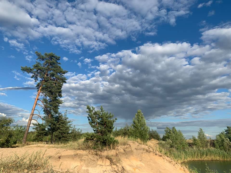 117153940 1823213247816455 6092763955119738195 n