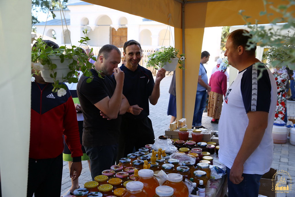 50221528342 8bd3373c19 b