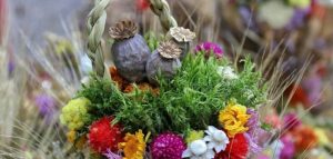 Маковея : что святить в церкви и как собрать букет “маковейчик”