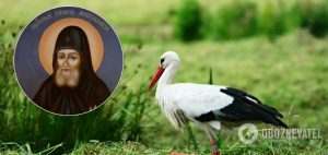 Марины-Пимены 19 августа: дата, история праздника и что категорически нельзя делать