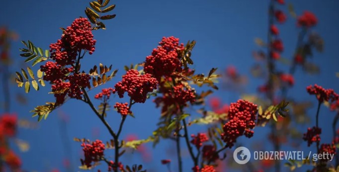 Половина сентября в Украине будет летней: синоптик дал прогноз на начало осени