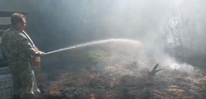 В Святогорске горят торфяники на территории национального парка. Видео