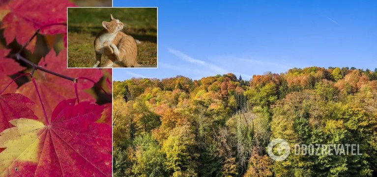 Украину ждут погодные качели от +5 до +37, а “лето” продержится до октября. Подробный прогноз синоптиков