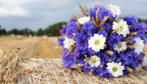 Праздники и приметы на 13 августа: что нельзя делать в этот день