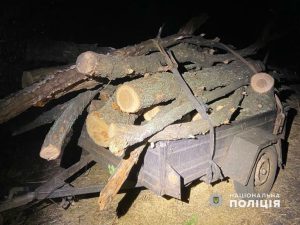 Вночі поліцейські затримали чоловіка, що перевозив незаконно вирубані дерева