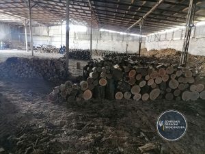 Викрито групу «чорних лісорубів», які здійснювали незаконну порубку дерев у 4 районах Донеччини