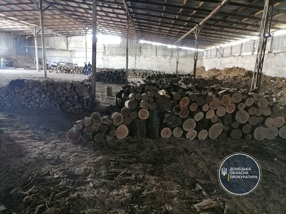 Викрито групу «чорних лісорубів», які здійснювали незаконну порубку дерев у 4 районах Донеччини