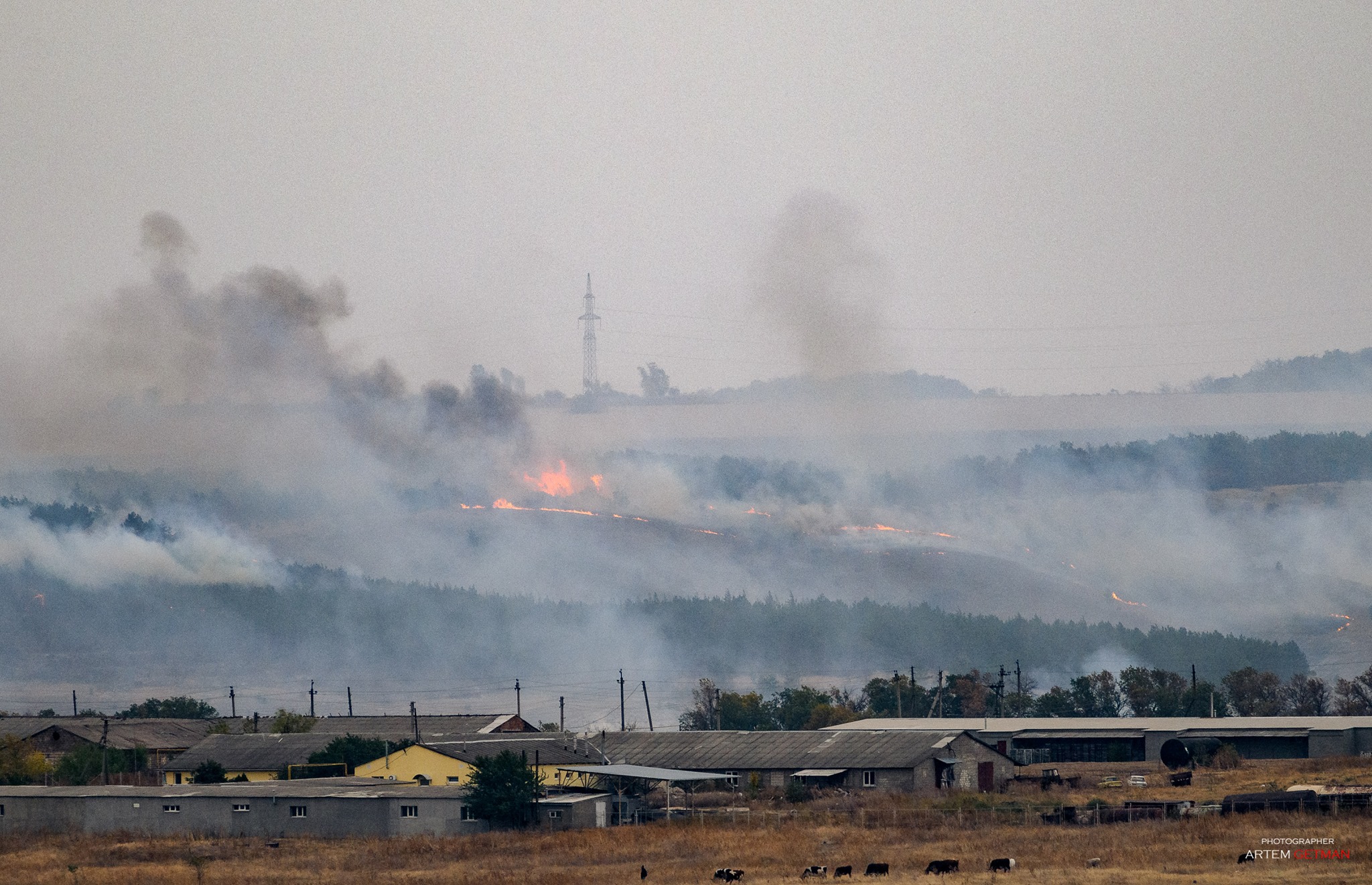 120305107 1628755650636111 4211327012684474327 o