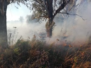 Протягом минулої доби рятувальники ліквідували 40 пожеж на відкритих територіях