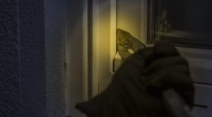 Квартирные воры придумали новые приемы. Как понять, что квартиру собираются обчистить