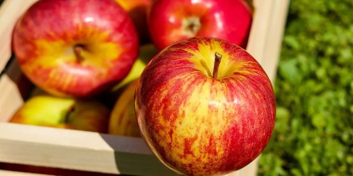 В Украине цены на яблоки установили трехлетние рекорды: в чем причина