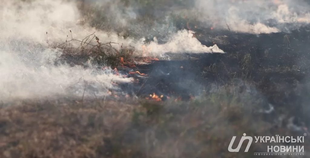 До 360 необлагаемых минимумов. В Украине будут наказывать за выжигание торфяников