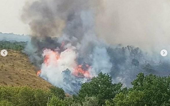 Под Святогорском в селе Богородичное горит лес. Фото