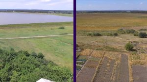 Почему в Лимане высохло огромное озеро