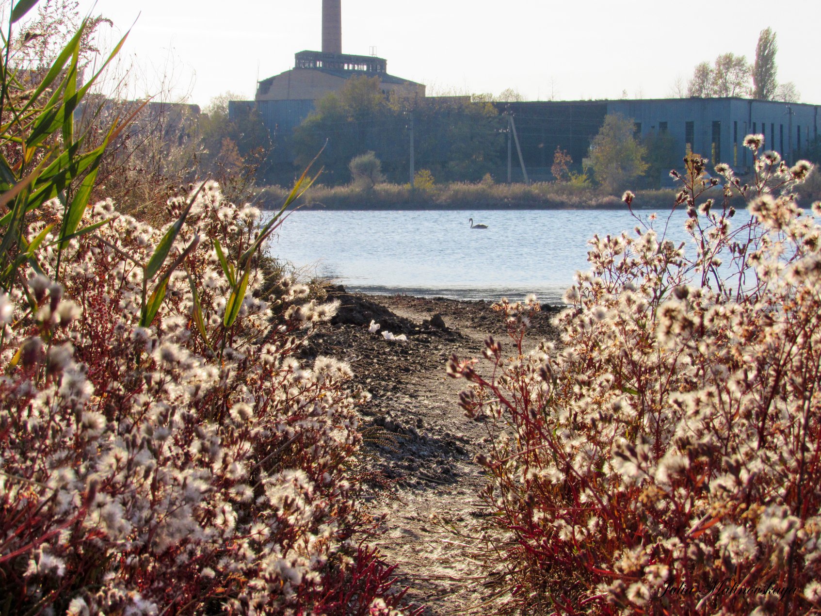 120468460 2999280090295483 8763240478071974058 o