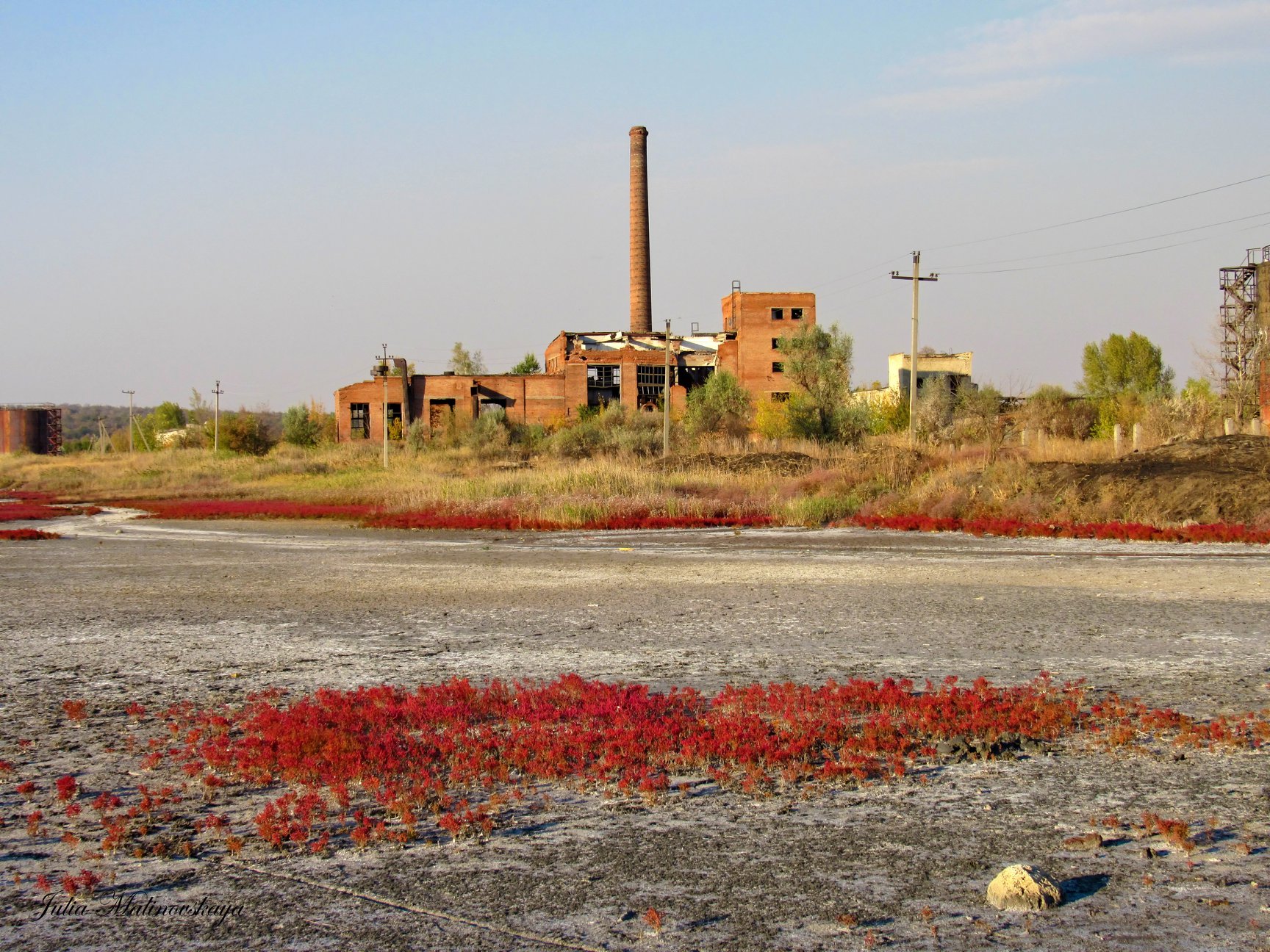 120530163 2999280813628744 6250435695898222482 o