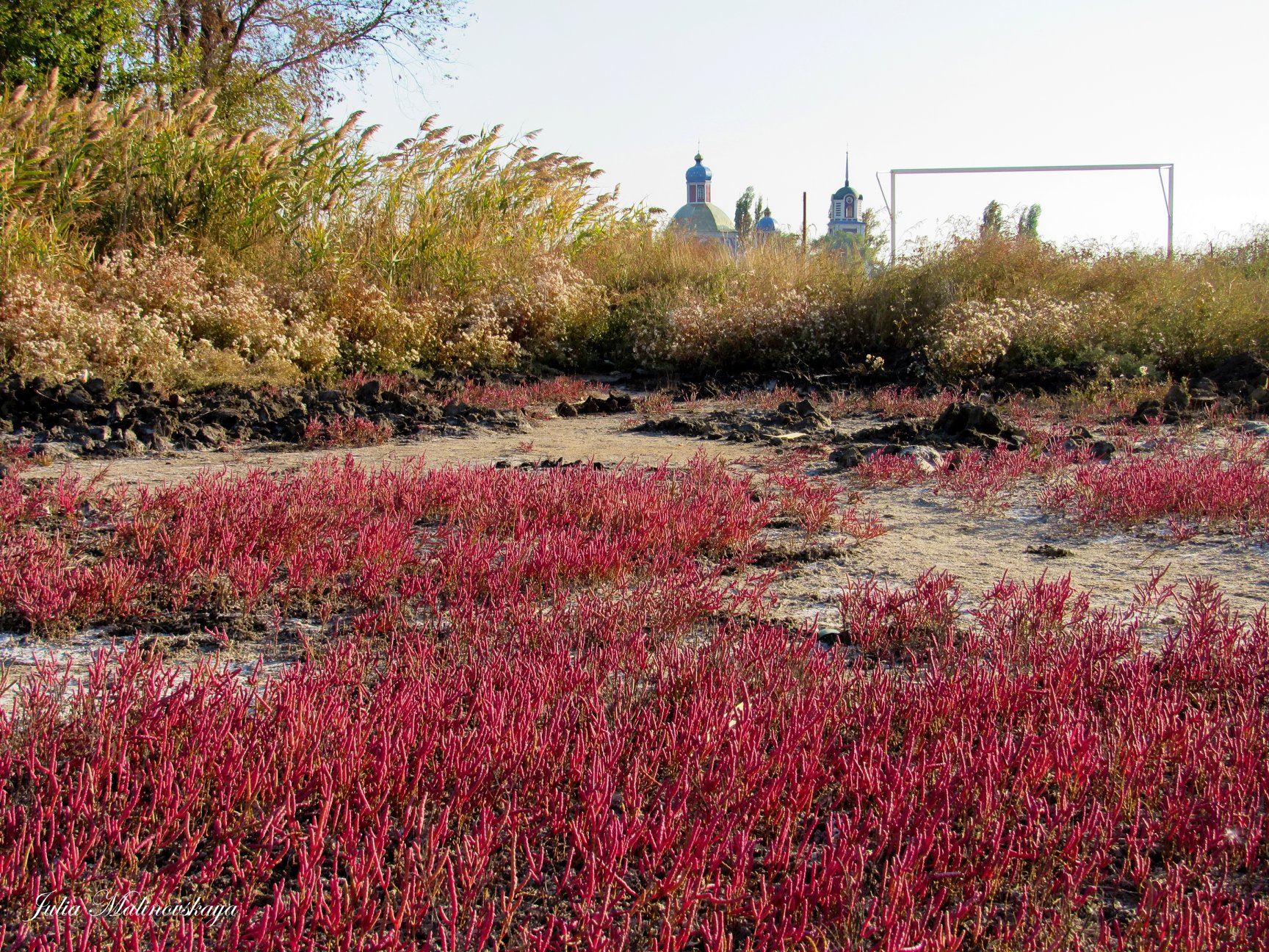 120613004 2999279850295507 2372321768541675332 o