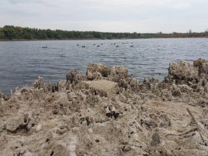 На Славкурорте обмелело озеро. Фото