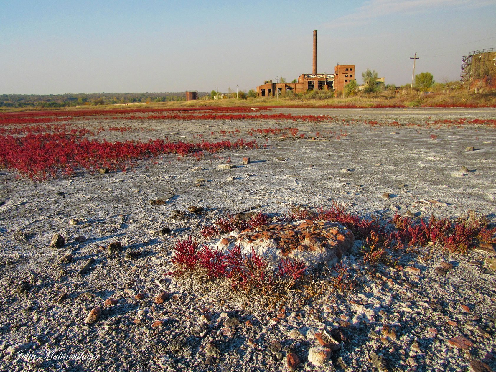 120748708 2999280583628767 8041559891152016416 o