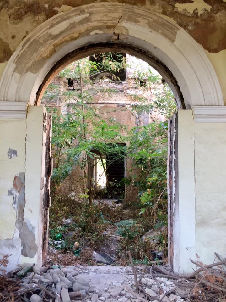 120850036 3426134287443895 7554567601750019817 n