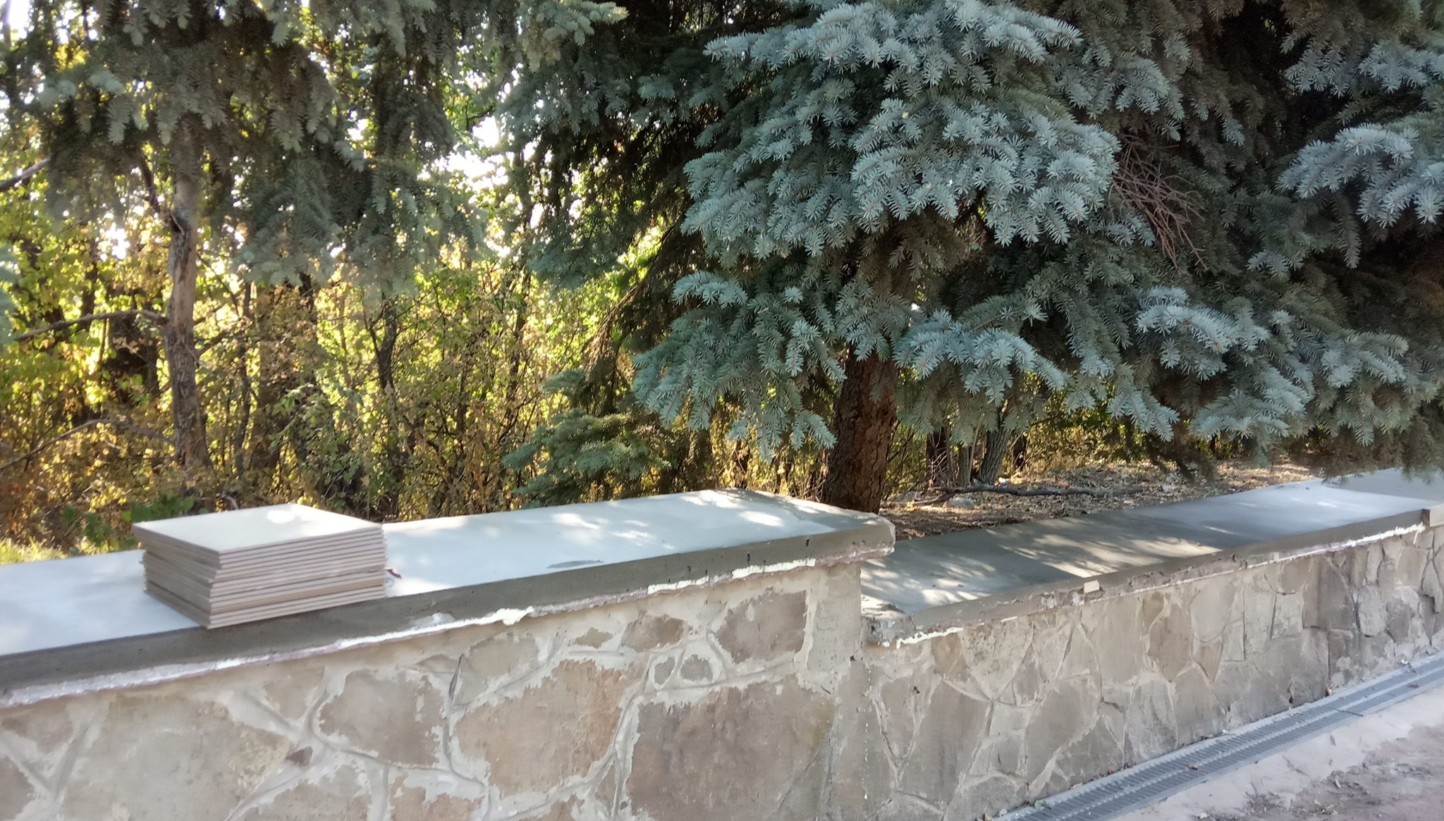 121004625 1443233089205189 3423552718578051719 n