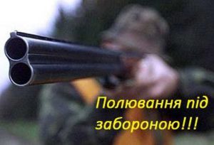 Полювання під забороною: природний парк “Святі гори” нагадує про штрафи