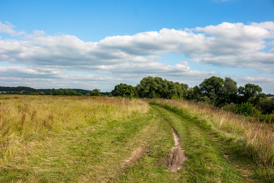 “Исторический день”. Зеленский подписал указ о передаче земли в собственность общин