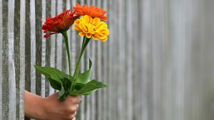 Приметы на 23 октября: что нельзя делать