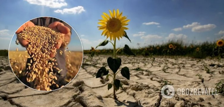 Синоптики предупредили о масштабных засухах на планете через 30 лет