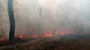 Пожар возле Святогорска: опубликовано видео