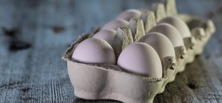 Украинцев предупредили о подорожании яиц и мяса птицы