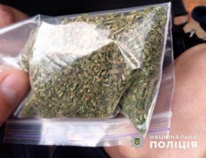 Поліцейські викрили жителя Миколаївки у зберіганні наркотиків