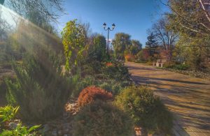 Что запланировано в Славянске с 16 по 22  ноября