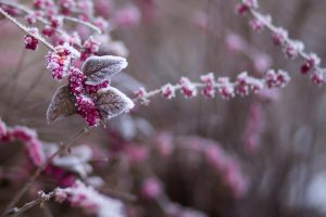 Приметы на 30 ноября: что нельзя делать в день Григория Чудотворца