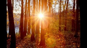 Осіння фотосесія вихованців гуртка “Художня фотографія” КЗ “Станція юних техніків м. Слов’янська”