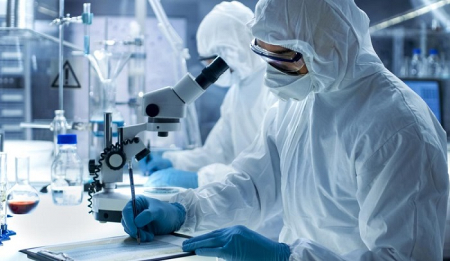 Ученые разработали искусственное мясо из человеческих клеток