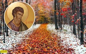 Праздник 29 ноября: что нельзя делать в этот день, приметы