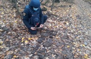 У Слов’янському районі під час обстеження території піротехніки вилучили 41 одиницю вибухонебезпечних предметів часів Другої світової війни